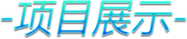 项目展示