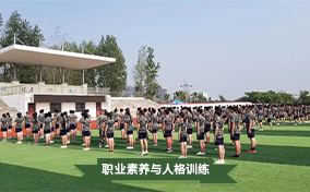 职业素养与人格训练